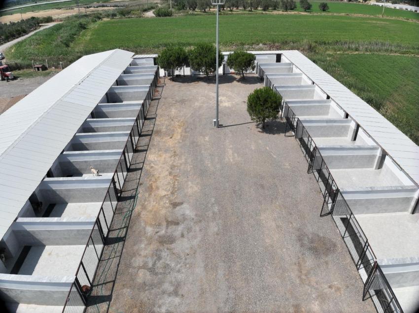 Büyükşehir, Edremit Çıkrıkçı Hayvan Barınağı’nı tıbbi cihazlarla güçlendirdi