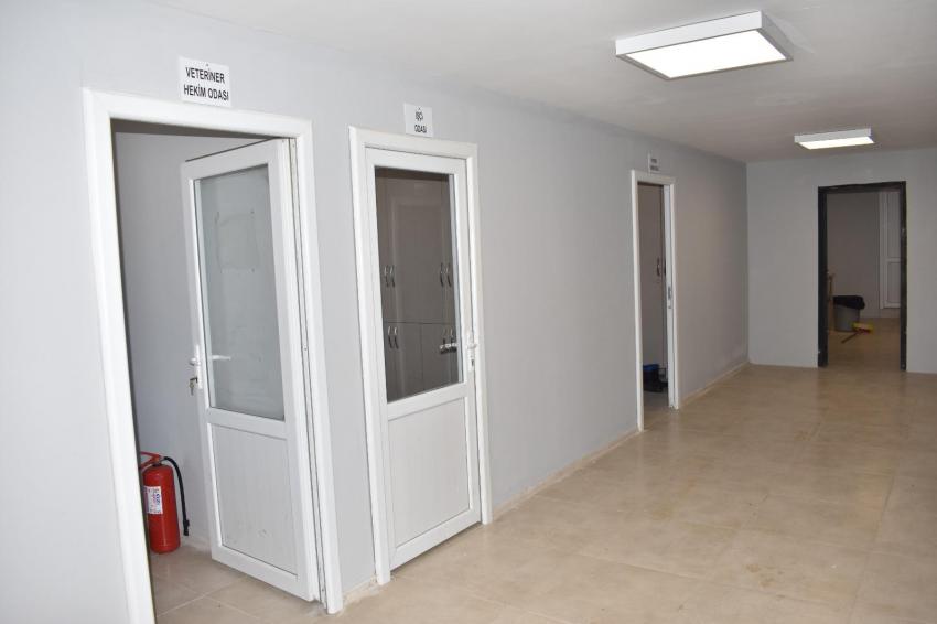 Büyükşehir, Edremit Çıkrıkçı Hayvan Barınağı’nı tıbbi cihazlarla güçlendirdi