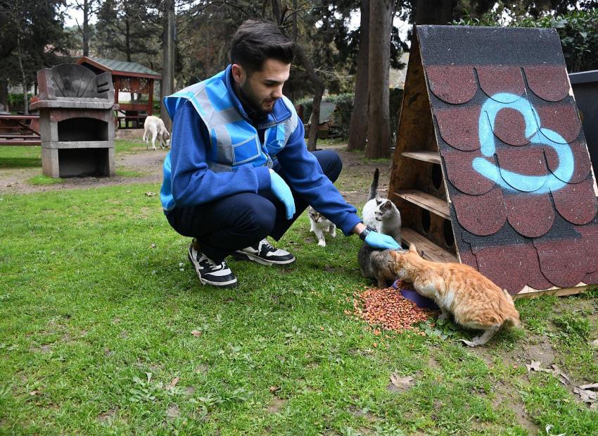 Başkan Ahmet Akın’dan sokaktaki canlara kış desteği