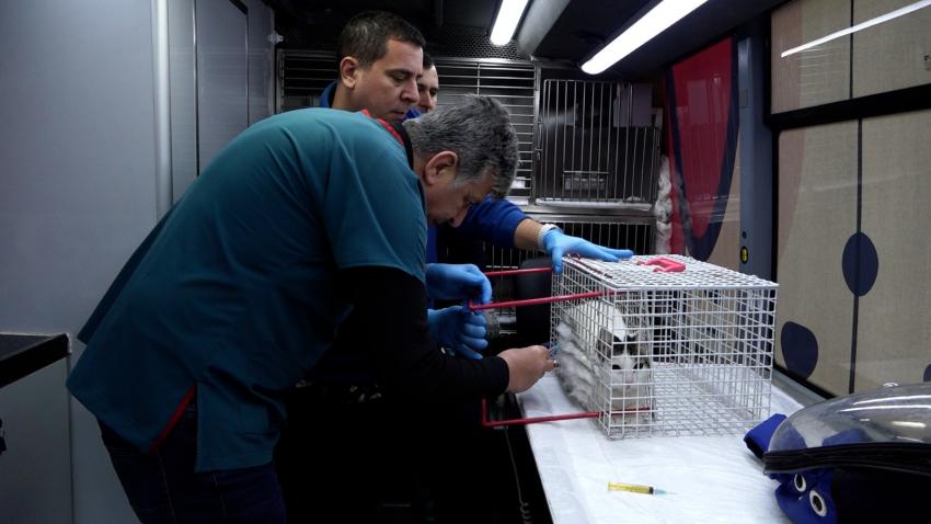 Başkan Akın: “Can Dostlara karşı sorumluluklarımızın farkındayız”