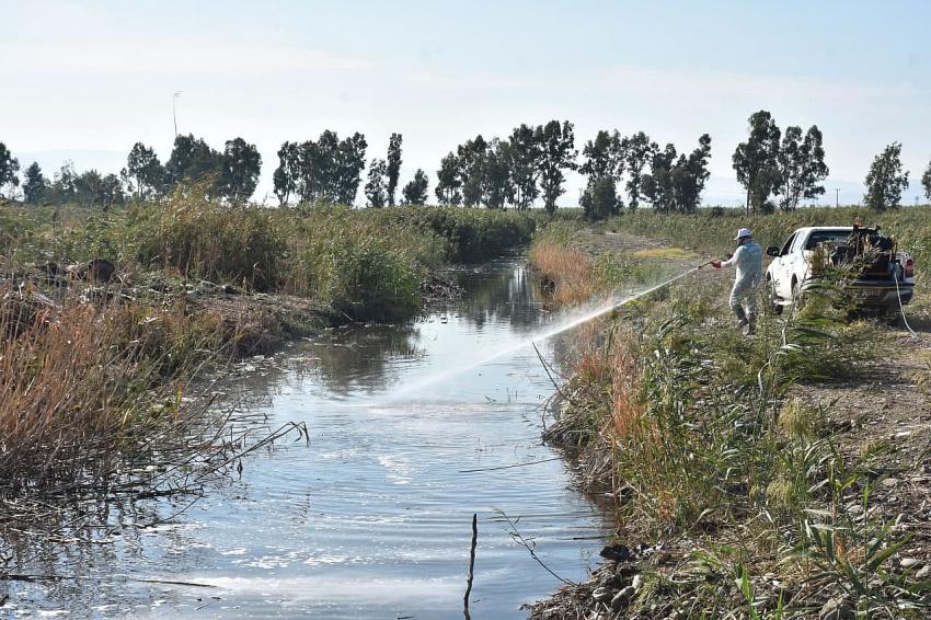 ıEDREMIT’TE 4 MEVSIM SINEKLE MÜCADELE -	EDREMIT’TE KIŞLIK ILAÇLAMA ÇALIŞMALARI BAŞLADI