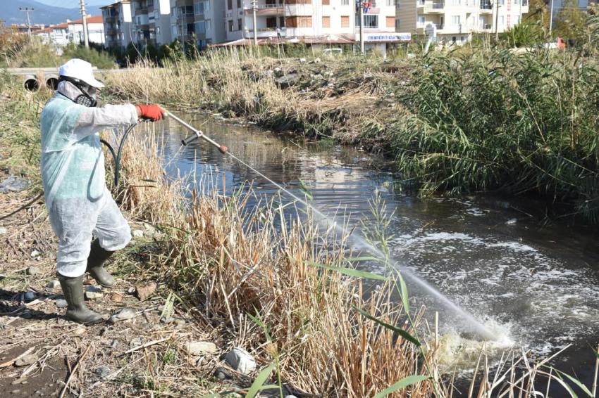ıEDREMIT’TE 4 MEVSIM SINEKLE MÜCADELE -	EDREMIT’TE KIŞLIK ILAÇLAMA ÇALIŞMALARI BAŞLADI