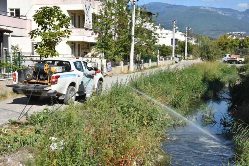 ıEDREMIT’TE 4 MEVSIM SINEKLE MÜCADELE -	EDREMIT’TE KIŞLIK ILAÇLAMA ÇALIŞMALARI BAŞLADI