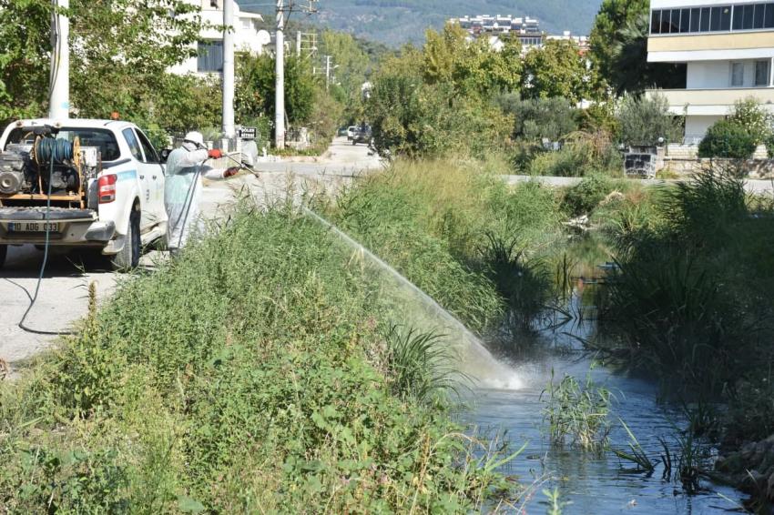 ıEDREMIT’TE 4 MEVSIM SINEKLE MÜCADELE -	EDREMIT’TE KIŞLIK ILAÇLAMA ÇALIŞMALARI BAŞLADI