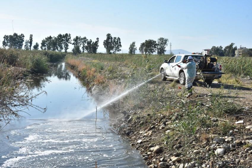 ıEDREMIT’TE 4 MEVSIM SINEKLE MÜCADELE -	EDREMIT’TE KIŞLIK ILAÇLAMA ÇALIŞMALARI BAŞLADI