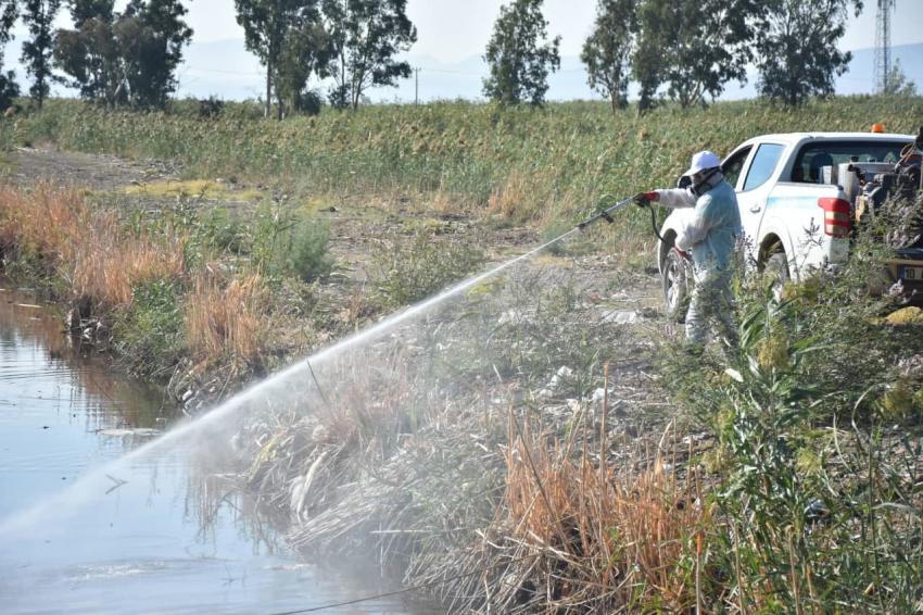 ıEDREMIT’TE 4 MEVSIM SINEKLE MÜCADELE -	EDREMIT’TE KIŞLIK ILAÇLAMA ÇALIŞMALARI BAŞLADI