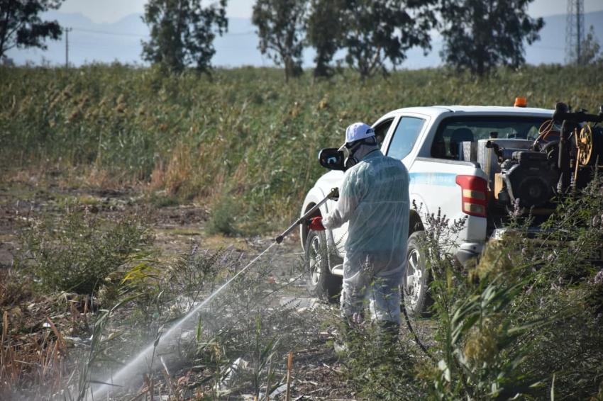ıEDREMIT’TE 4 MEVSIM SINEKLE MÜCADELE -	EDREMIT’TE KIŞLIK ILAÇLAMA ÇALIŞMALARI BAŞLADI