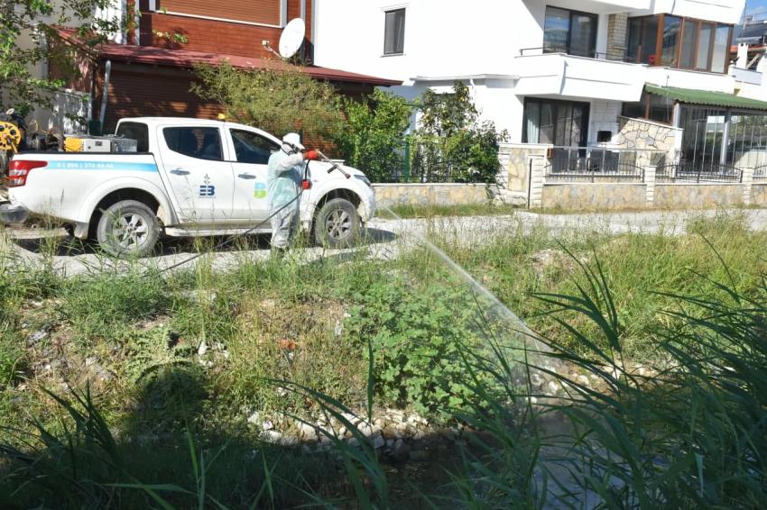 ıEDREMIT’TE 4 MEVSIM SINEKLE MÜCADELE -	EDREMIT’TE KIŞLIK ILAÇLAMA ÇALIŞMALARI BAŞLADI