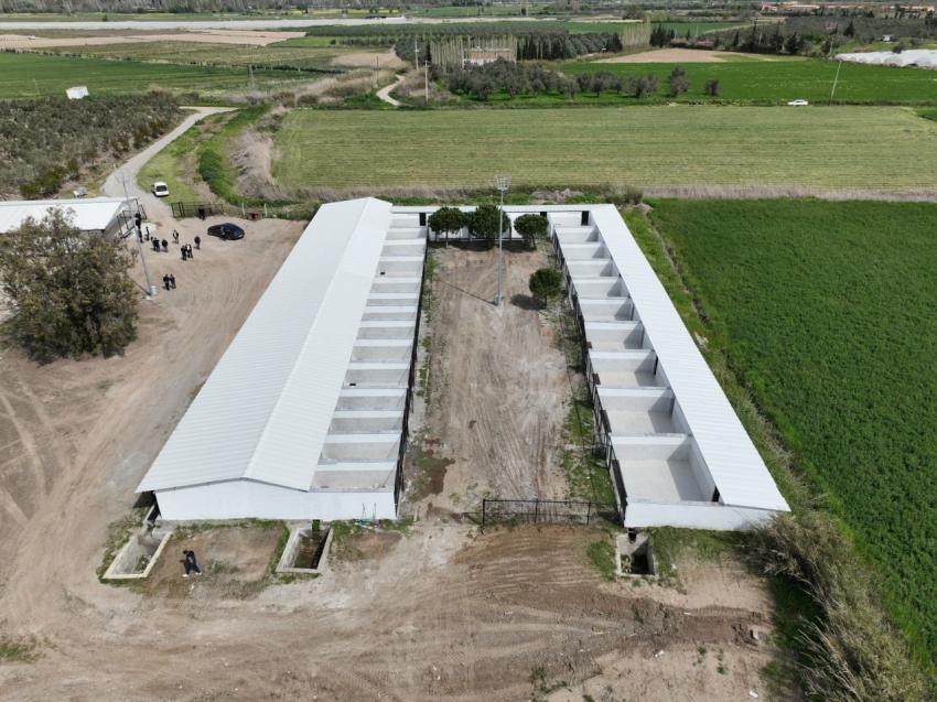 EDREMİT'TE SOKAK HAYVANLARI İÇİN REHABİLİTASYON MERKEZİ AÇILIYOR