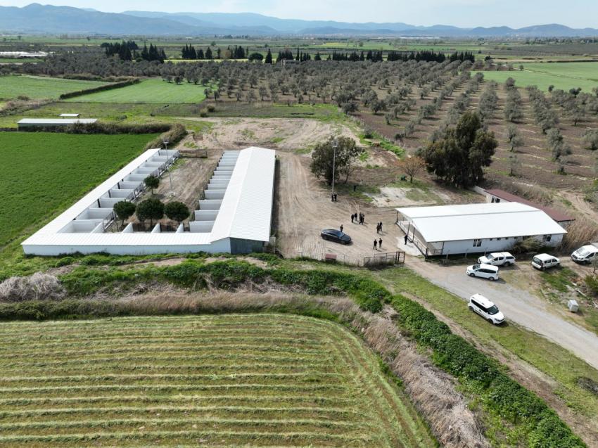 EDREMİT'TE SOKAK HAYVANLARI İÇİN REHABİLİTASYON MERKEZİ AÇILIYOR