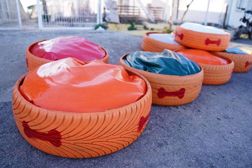 ESKİ LASTIKLER BARINAKTAKI CAN DOSTLARIMIZ İÇIN YATAK OLDU