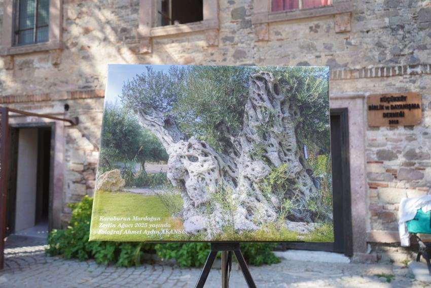 FESTİVALDE ETKİNLİKLER KÖYLERDE…