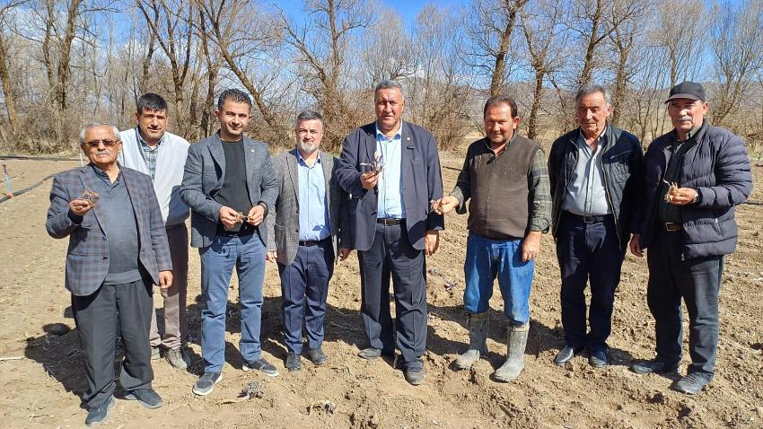 Gürer: “Zirai don, lahana üreticisini de vurdu”