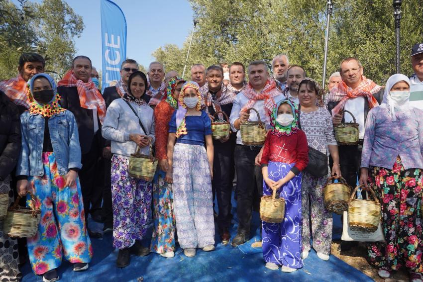 İLK HASAT İLK SIKIM