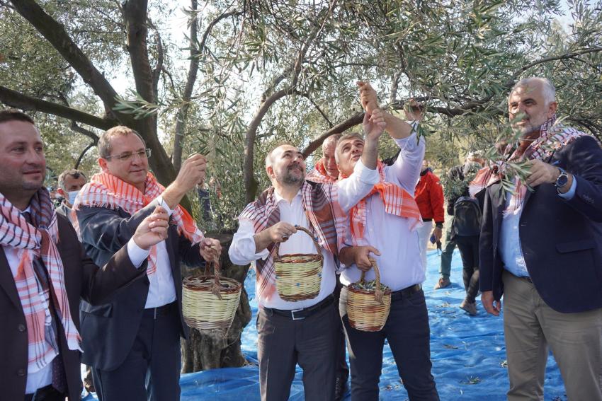 İLK HASAT İLK SIKIM