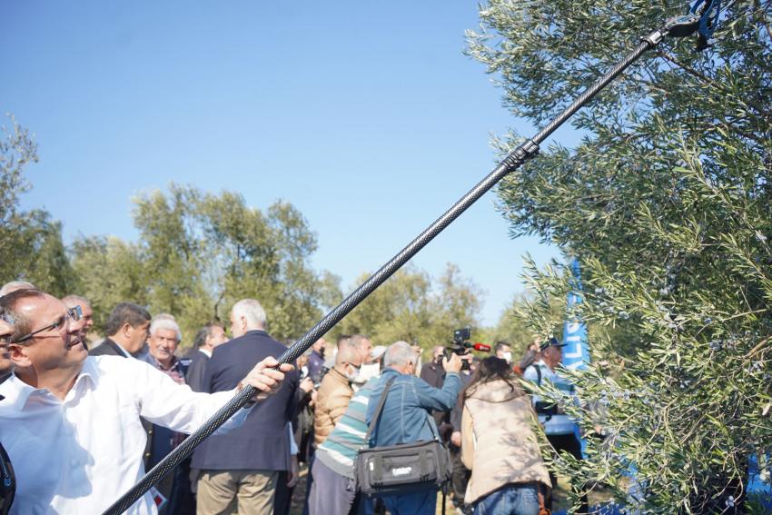 İLK HASAT İLK SIKIM