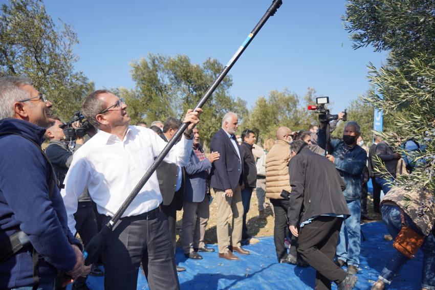 İLK HASAT İLK SIKIM