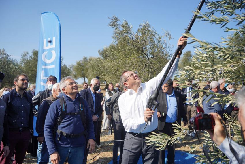 İLK HASAT İLK SIKIM