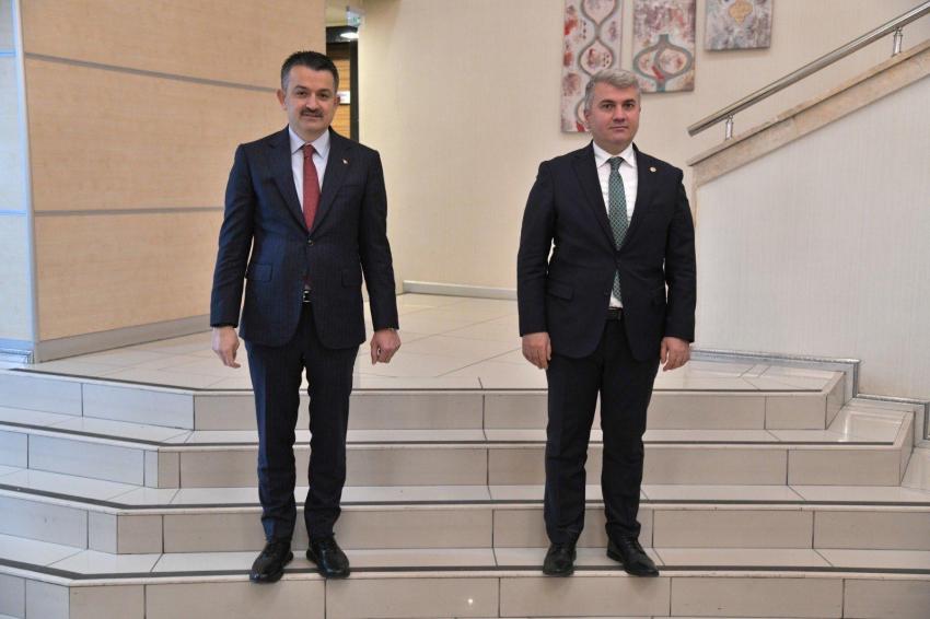 CANBEY’DEN AYVALIK’A  NIKITA DERESI MÜJDESI 