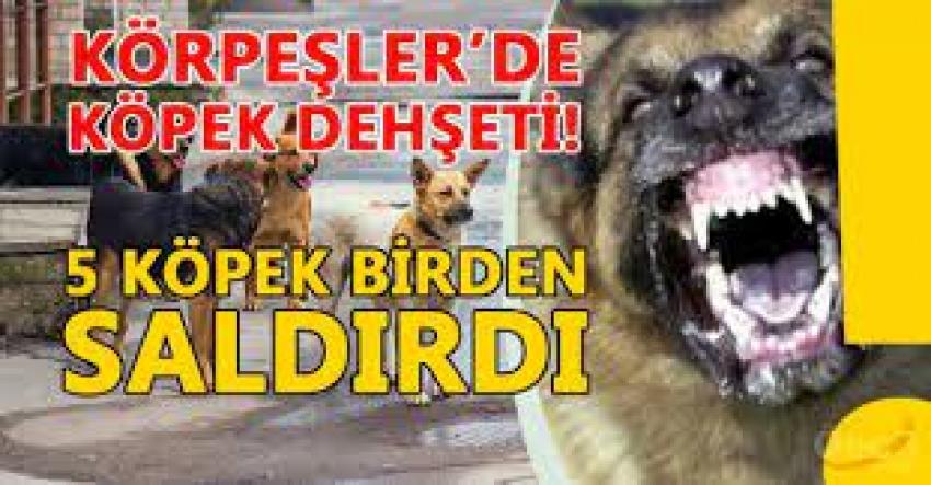 CUMHURBAŞKANI ERDOĞAN