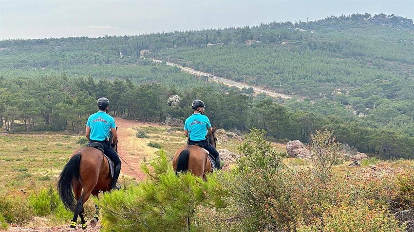 AYVALIK’TA JANDARMA ATLI SÜVARİLERİ SUÇ VE SUÇLUYA GEÇİT VERMEDİ
