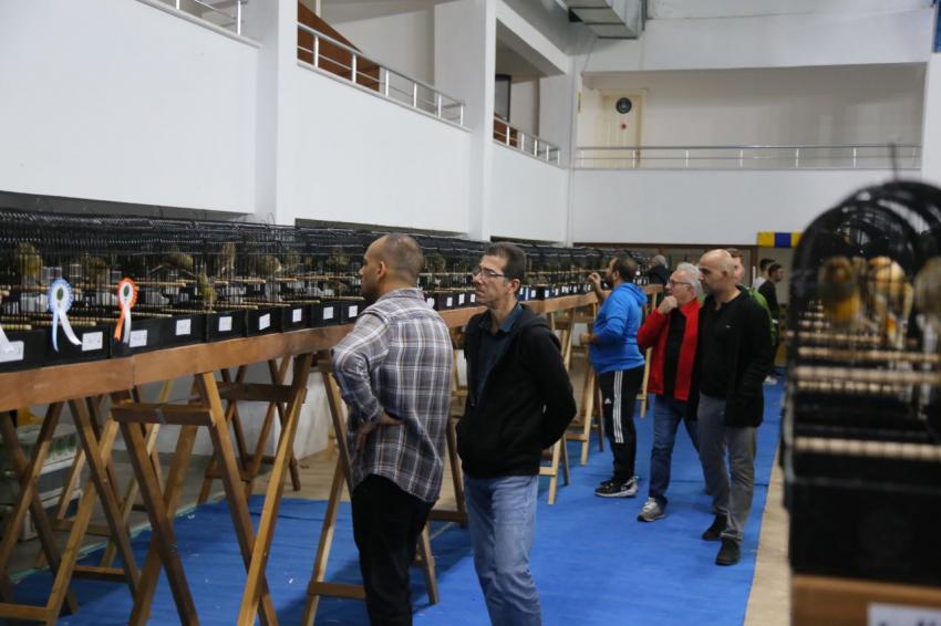 DÜNYANIN EN BÜYÜK YARIŞMASI EDREMIT’TE