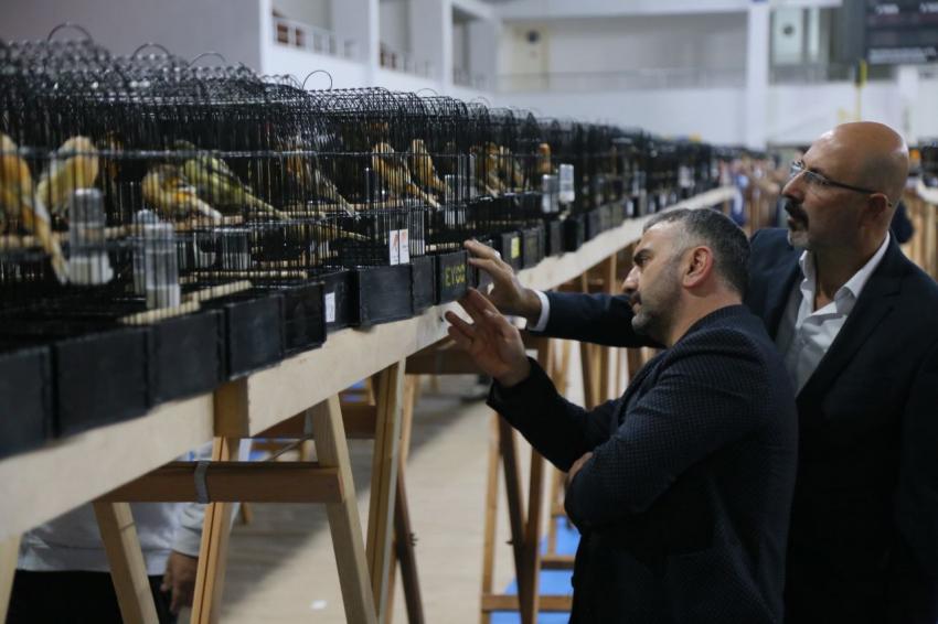 DÜNYANIN EN BÜYÜK YARIŞMASI EDREMIT’TE