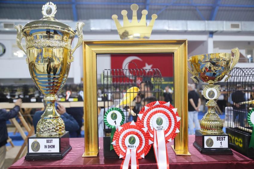 DÜNYANIN EN BÜYÜK YARIŞMASI EDREMIT’TE