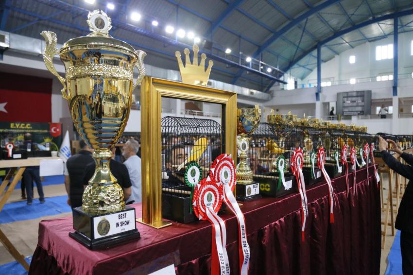 DÜNYANIN EN BÜYÜK YARIŞMASI EDREMIT’TE