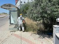 BANDIRMA’DA ÇALIŞMALAR TÜM HIZIYLA SÜRÜYOR