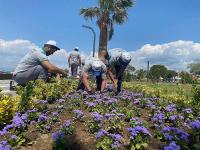 BURHANİYE ÇİÇEKLERLE RENKLENDİ