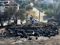 YANGIN BÖLGESİ KONTROL ALTINDA