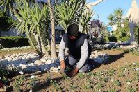 “BURHANİYE’DE GÜZ ÇİÇEKLERİ AÇIYOR”