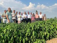 CANBEY'İN TARLADA İZİ VAR