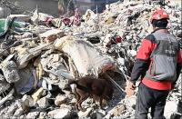 ‘ATEŞ’ YÜREK ISITMAK İÇIN ÇALIŞIYOR