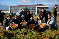 AROMATIK BITKI YETIŞTIRICILIĞINI BAÇEM’DE ÖĞRENIYORLAR
