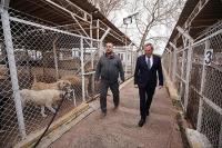 Ayvalık Belediyesi sokaktaki can dostların da yanında