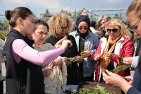 BAÇEM’de Tıbbi ve Aromatik Bitkiler Yetiştiriciliği Kursu ilgi gördü
