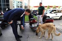 Tayfun Canlı: Can dostlarımızı unutmayalım!