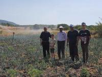 ADALI BARAJI SULAMAYA AÇILDI