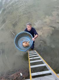 AYVALIK’TA KÖPRÜ ALTINDA MAHSUR KALAN KEDİYİ İTFAİYE KURTARDI