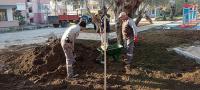 EDREMİT BELEDİYESİ YENİ PARK ÇALIŞMALARINA HIZ VERDİ