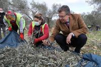 Edremit Körfezi yeşil çizik zeytini AB tarafından tanındı
