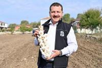 Büyükşehir üreticinin elini güçlendiriyor