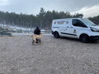 Büyükşehir’in şefkatli ve şifalı elleri canların yanında