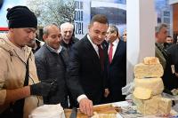 Balıkesir Büyükşehir Belediyesi, EMITT’ten ödülle döndü