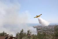 Edremit’te zeytinlikte çıkan yangın ormana sıçramadan söndürüldü