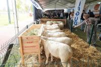 Balıkesir Tarım ve Hayvancılık Fuarı ziyaretçi rekoru kırdı