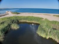 Sivrisineksiz bir yaz için Büyükşehir ekiplerinden yoğun mesai