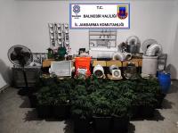 BALIKESIR İL JANDARMA KOMUTANLIĞI'NDAN UYUŞTURUCU OPERASYONU